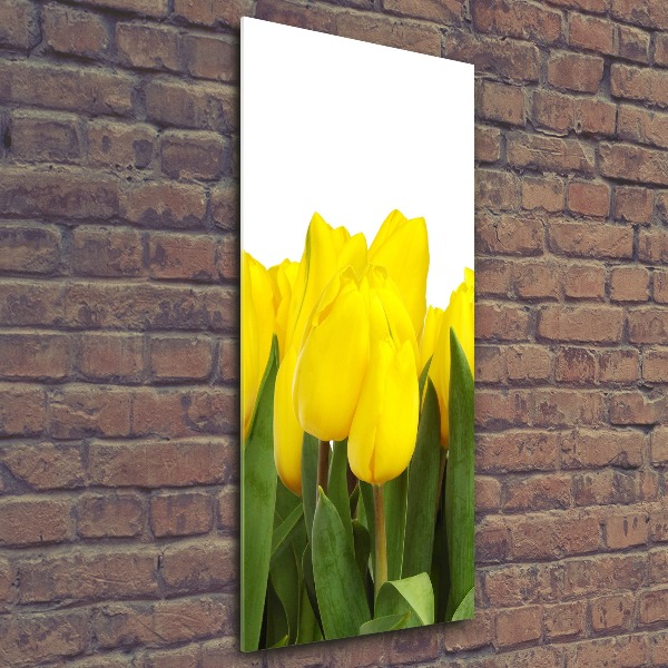 Vertikálny foto obraz akryl do obývačky Žlté tulipány