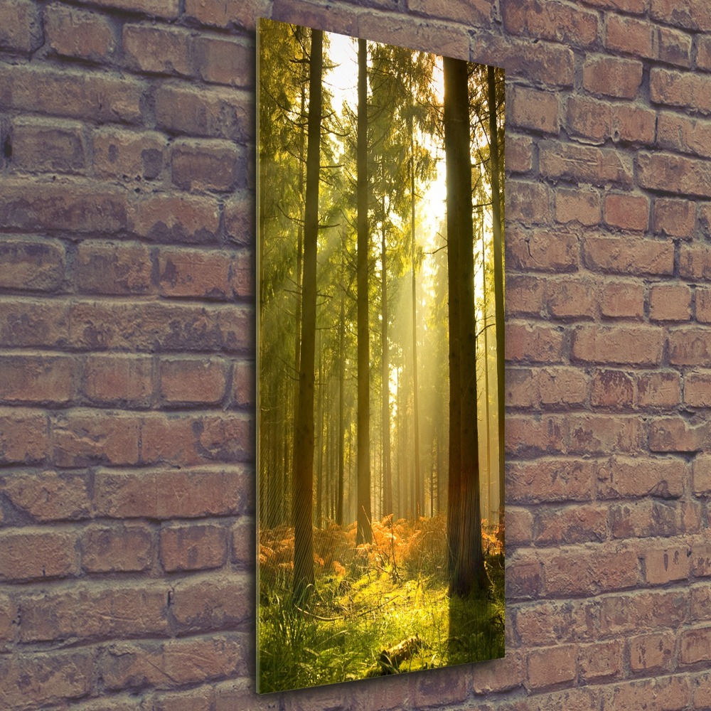 Vertikálny foto obraz akrylový na stenu Pekný les
