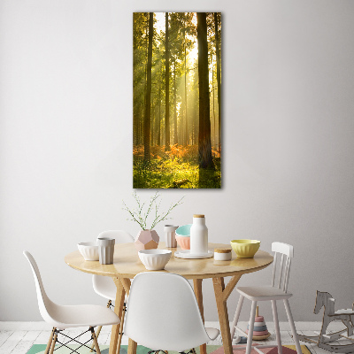 Vertikálny foto obraz akrylový na stenu Pekný les