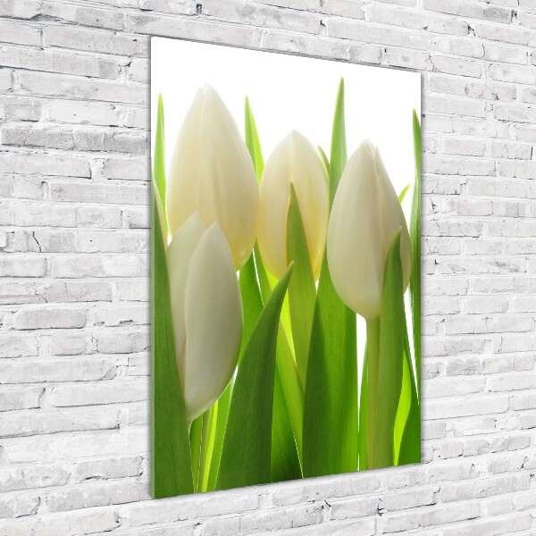 Vertikálny foto obraz akryl do obývačky Biele tulipány