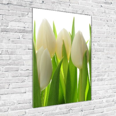 Vertikálny foto obraz akryl do obývačky Biele tulipány