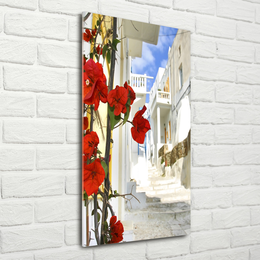 Vertikálny foto obraz akryl do obývačky Mykonos Grécko