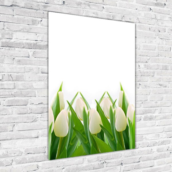 Vertikálny foto obraz akryl do obývačky Biele tulipány