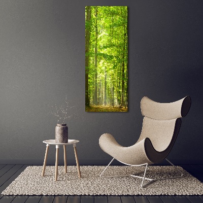 Vertikálny foto obraz akrylový na stenu Bukový les
