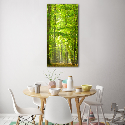 Vertikálny foto obraz akrylový na stenu Bukový les