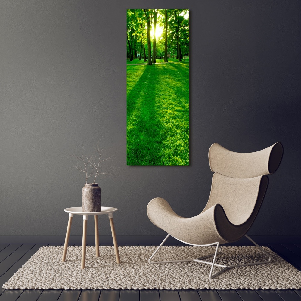 Vertikálny foto obraz akryl do obývačky Slnko v parku