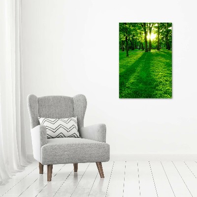 Vertikálny foto obraz akryl do obývačky Slnko v parku