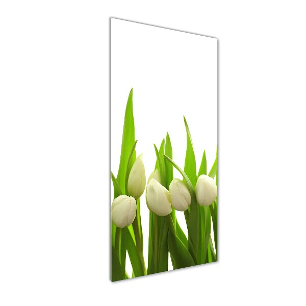 Vertikálny foto obraz akryl do obývačky Biele tulipány