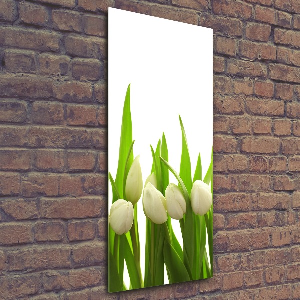 Vertikálny foto obraz akryl do obývačky Biele tulipány