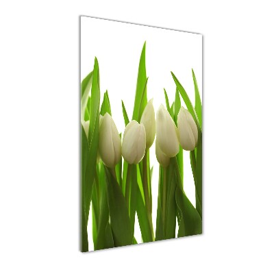 Vertikálny foto obraz akryl do obývačky Biele tulipány