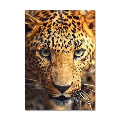 Vertikálny foto obraz akryl zvislý do obývačky Leopard