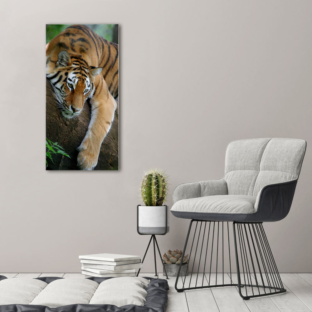 Vertikálny foto obraz akrylový Tiger na strome
