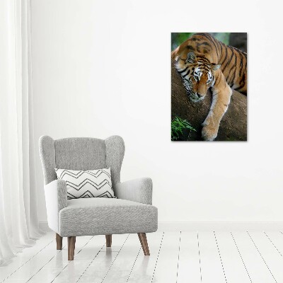 Vertikálny foto obraz akrylový Tiger na strome