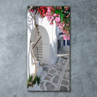 Vertikálny foto obraz akrylový do obývačky Grécke dediny