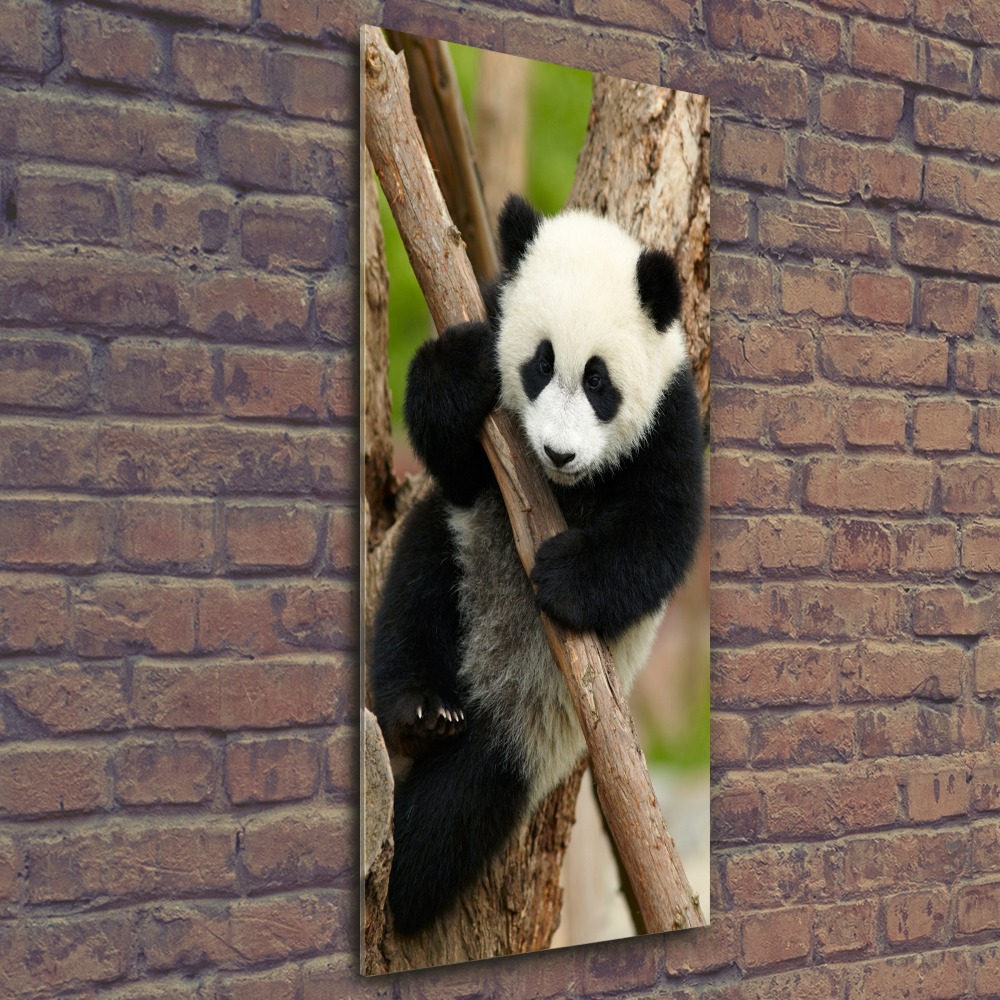 Vertikálny foto obraz akrylové sklo Panda na strome