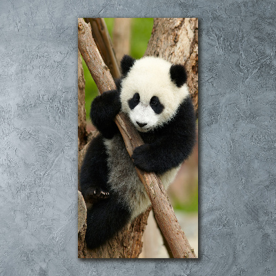 Vertikálny foto obraz akrylové sklo Panda na strome