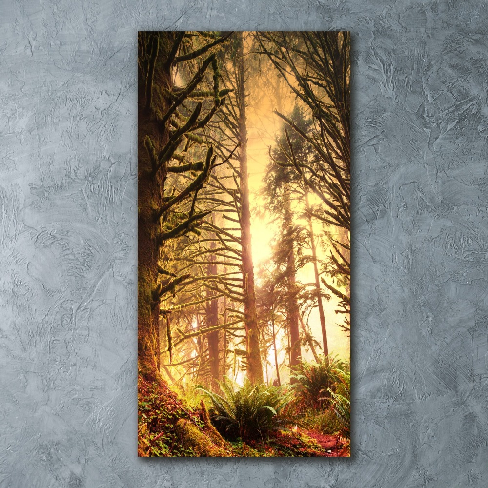 Vertikálny foto obraz akrylový do obývačky Dažďový prales