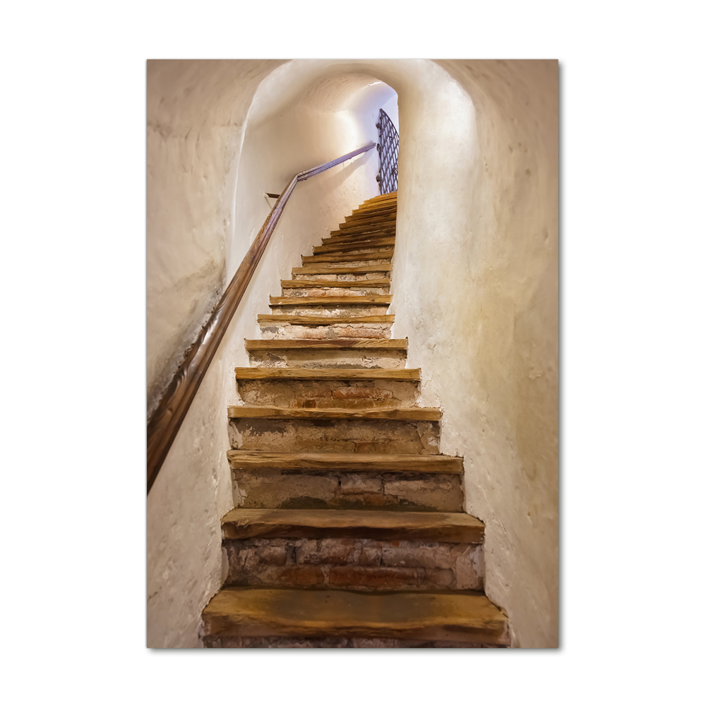 Vertikálny foto obraz akryl do obývačky Schody v zámku