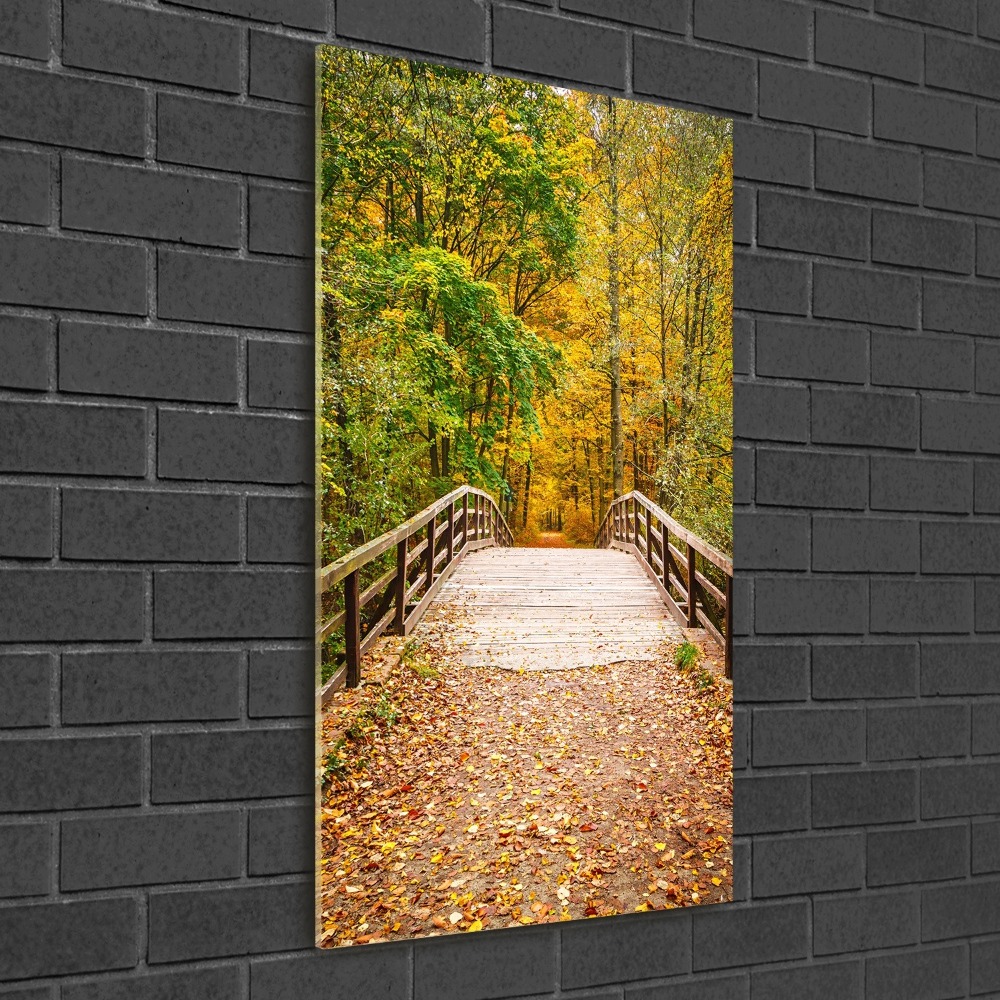 Vertikálny moderný akrylový fotoobraz Les na jeseň