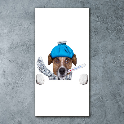 Vertikálny foto obraz akrylový na stenu Chorý pes