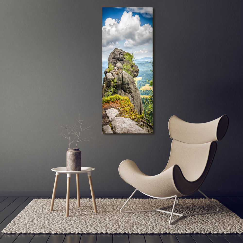 Vertikálny foto obraz akrylový Veľká Hejšovice