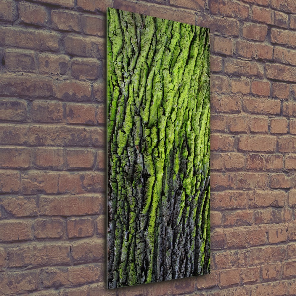 Vertikálny moderný akrylový fotoobraz Kôra stromu