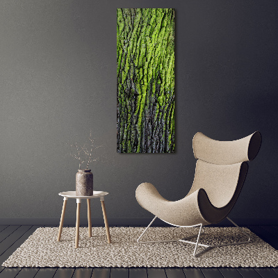 Vertikálny moderný akrylový fotoobraz Kôra stromu