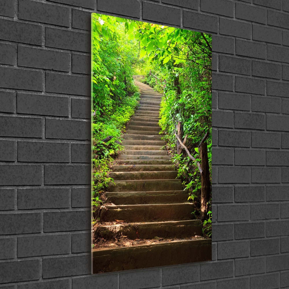 Vertikálny foto obraz akryl do obývačky Schody do lesa