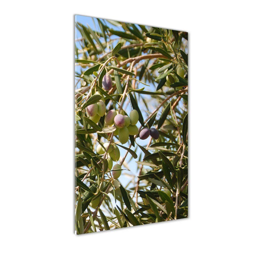 Vertikálny foto obraz akrylový Olivy na strome