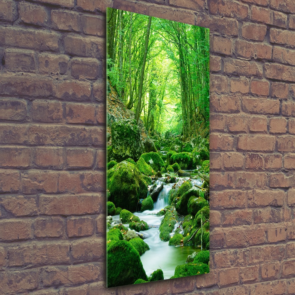 Vertikálny foto obraz akrylové sklo Potok v džungli