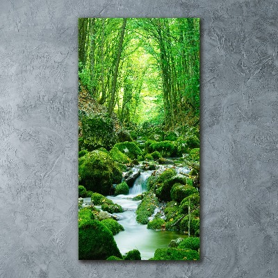 Vertikálny foto obraz akrylové sklo Potok v džungli