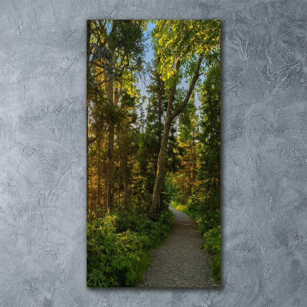 Vertikálny foto obraz akrylové sklo Chodník v lese