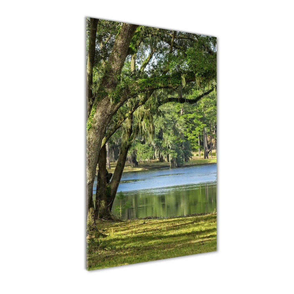 Vertikálny foto obraz akrylové sklo Jazero v parku