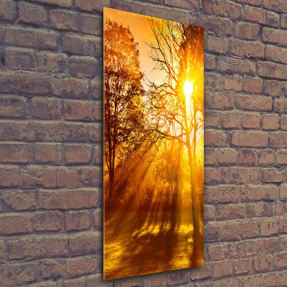 Vertikálny foto obraz akrylový do obývačky Jesenný park