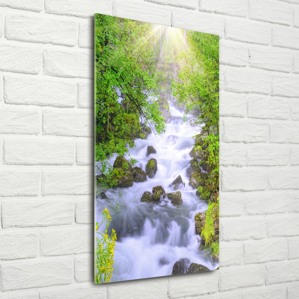 Vertikálny moderný akrylový fotoobraz Horský potok