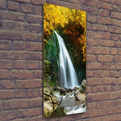 Vertikálny foto obraz akrylové sklo Vodopád v lese