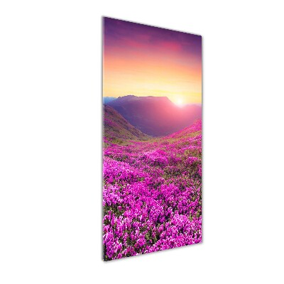 Vertikálny foto obraz akrylové sklo Hory rododendrom