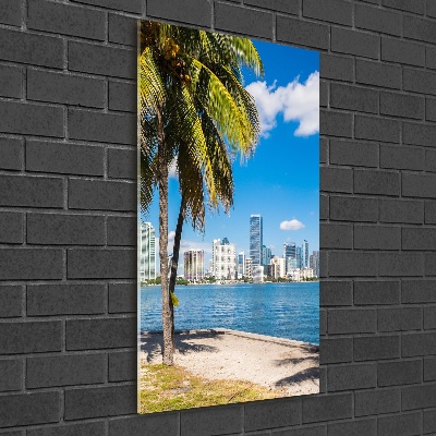 Vertikálny moderný foto-obraz akryl na stenu Miami