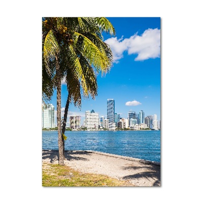 Vertikálny moderný foto-obraz akryl na stenu Miami