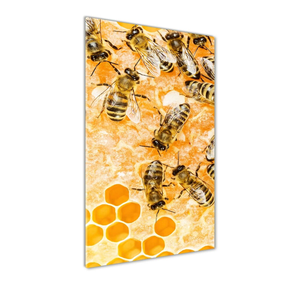 Vertikálny foto obraz akrylový Pracujúci včely