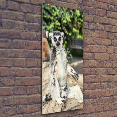 Vertikálny moderný foto-obraz akryl na stenu Lemur