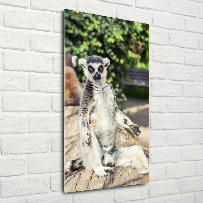 Vertikálny moderný foto-obraz akryl na stenu Lemur