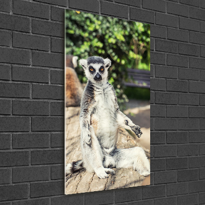 Vertikálny moderný foto-obraz akryl na stenu Lemur