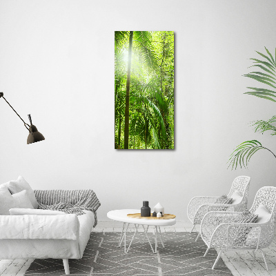 Vertikálny foto obraz akrylový do obývačky Dažďový prales
