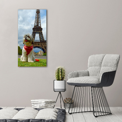 Vertikálny foto obraz akrylový do obývačky Pes v Paríži