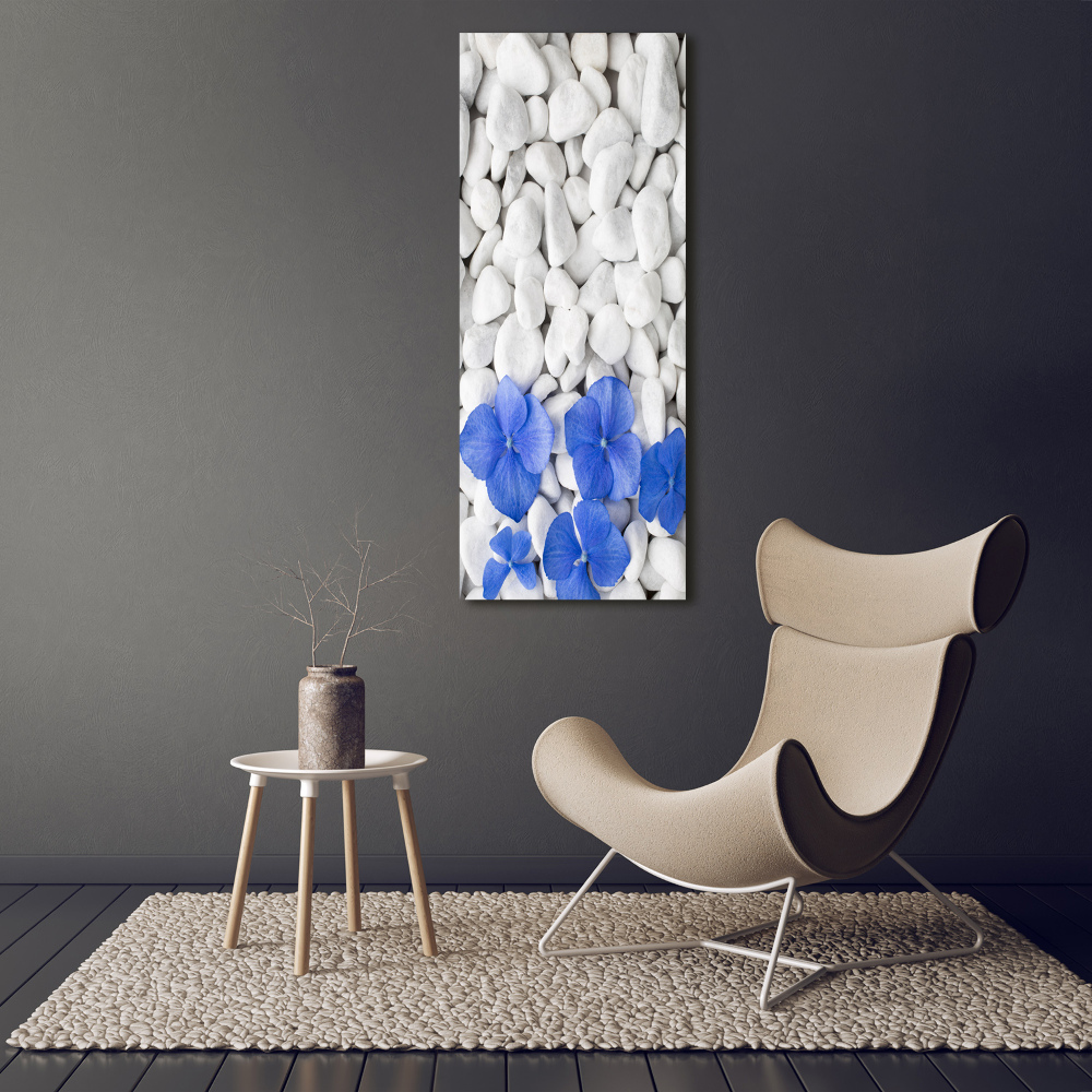 Vertikálny foto obraz akrylový Hortenzie kamenia