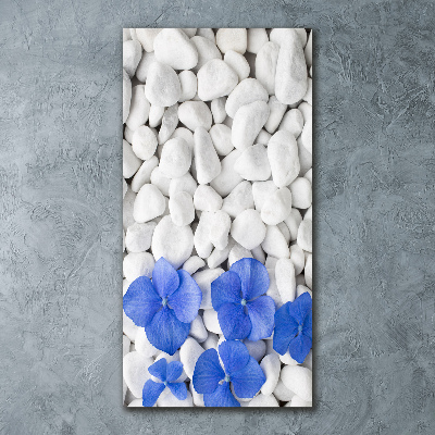 Vertikálny foto obraz akrylový Hortenzie kamenia