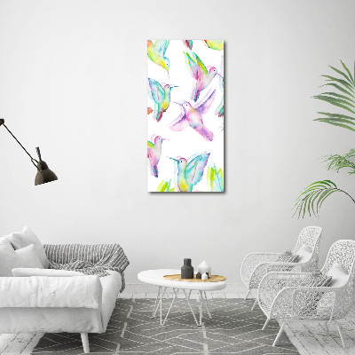 Vertikálny foto obraz akrylové sklo Farební kolibríky