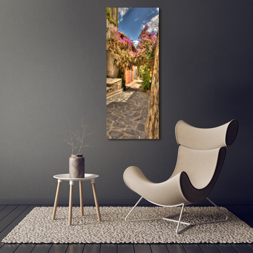 Vertikálny foto obraz akrylový Francúzske uličky