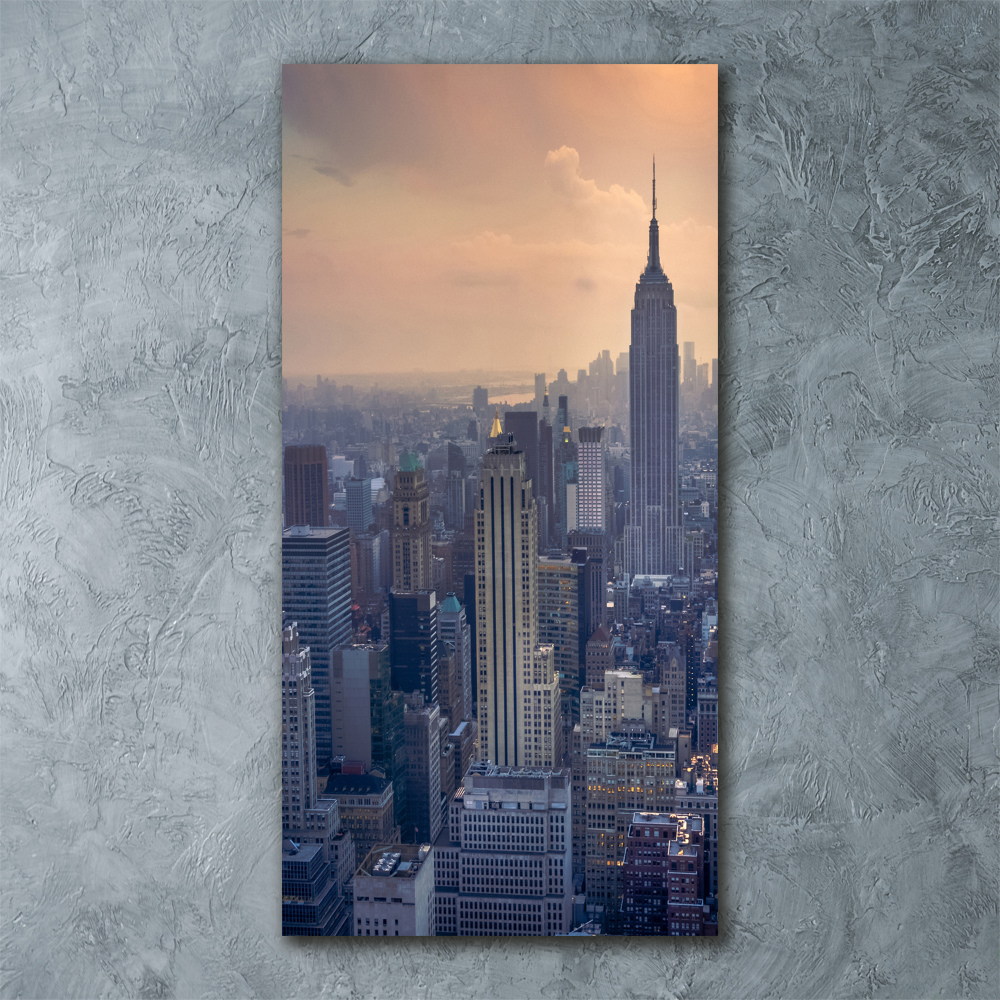 Vertikálny foto obraz akrylový Manhatttan Nový York